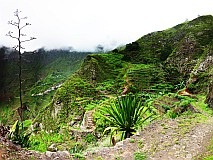 Santo Anto : Losna : caminho vicinal vista p Rabo Curto : Landscape Mountain
Cabo Verde Foto Galeria