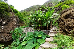 Insel: Santo Anto  Wanderweg: 203 Ort: Ribeira de Lombo de Pico Motiv: Wanderweg Motivgruppe: Landscape Mountain © Pitt Reitmaier www.Cabo-Verde-Foto.com