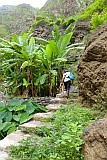 Santo Anto : Ribeira de Lombo de Pico : agricultor : People Work
Cabo Verde Foto Galeria