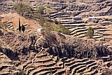 Santo Anto : Corda : caminho vicinal : Landscape Mountain
Cabo Verde Foto Galeria