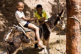 Insel: Santo Anto  Wanderweg:  Ort: Figueiral Motiv: Kinder mit Esel  Motivgruppe: People Children © Florian Drmer www.Cabo-Verde-Foto.com