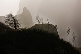 Santo Anto : Corda : montanha : Landscape Mountain
Cabo Verde Foto Galeria