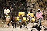 Insel: Santo Anto  Wanderweg: 101 Ort: Cova de Pal Motiv: Wasser holen mit Esel Motivgruppe: People Work © Florian Drmer www.Cabo-Verde-Foto.com