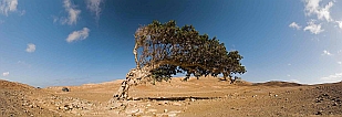 Maio :  :  : Landscape Desert
Cabo Verde Foto Gallery