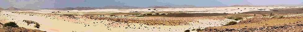 Boa Vista : Deserto Viana :  : Landscape Desert
Cabo Verde Foto Galeria