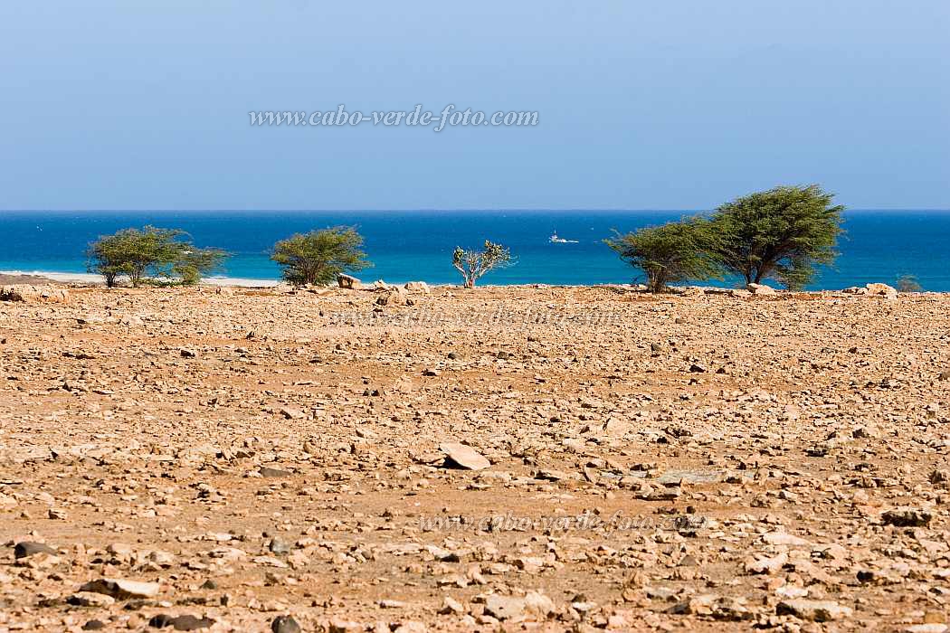 Maio : Ponta Preta :  : Landscape DesertCabo Verde Foto Gallery