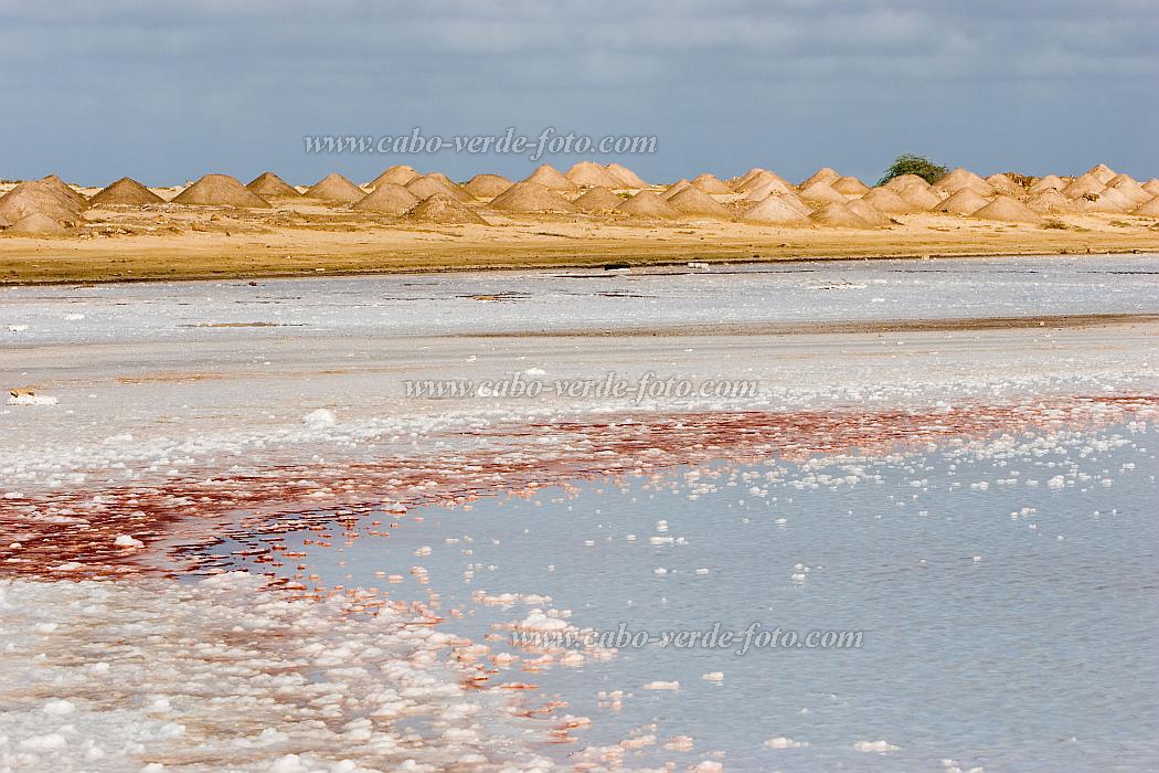 Insel: Maio  Wanderweg:  Ort: Saline Motiv: Saline Motivgruppe: Landscape Agriculture © Florian Drmer www.Cabo-Verde-Foto.com