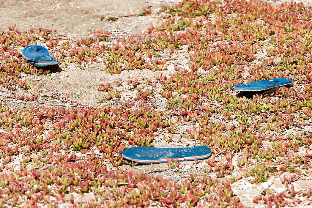 Maio : Ponta Preta : waste : TechnologyCabo Verde Foto Gallery