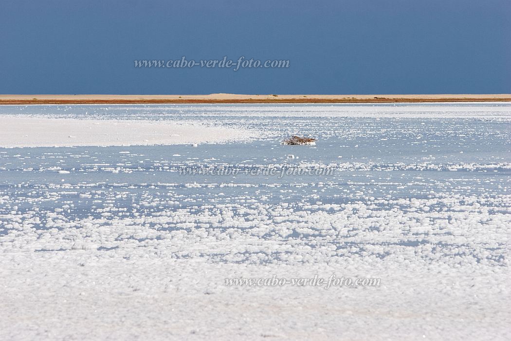 Maio : Saline : saline : Landscape AgricultureCabo Verde Foto Gallery
