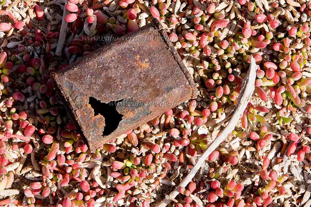 Maio : Ponta Preta : lixo : Landscape TownCabo Verde Foto Gallery