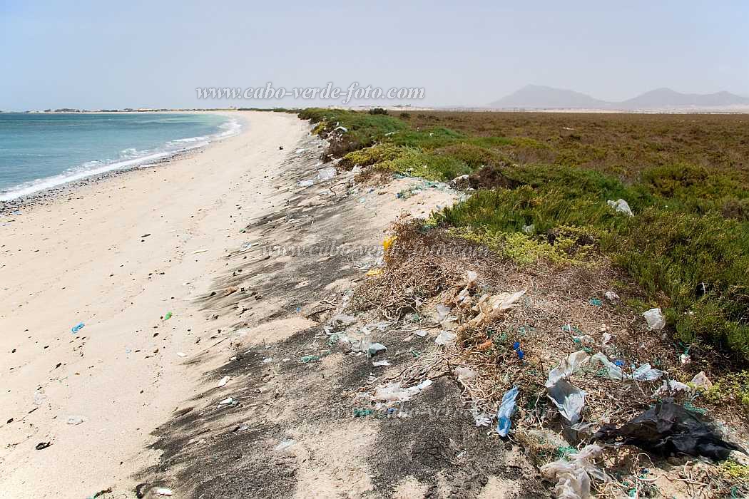 Maio : Terras Salgadas : praia : Landscape SeaCabo Verde Foto Gallery