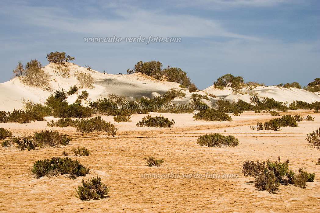 Maio : Terras Salgadas : dune : Landscape DesertCabo Verde Foto Gallery