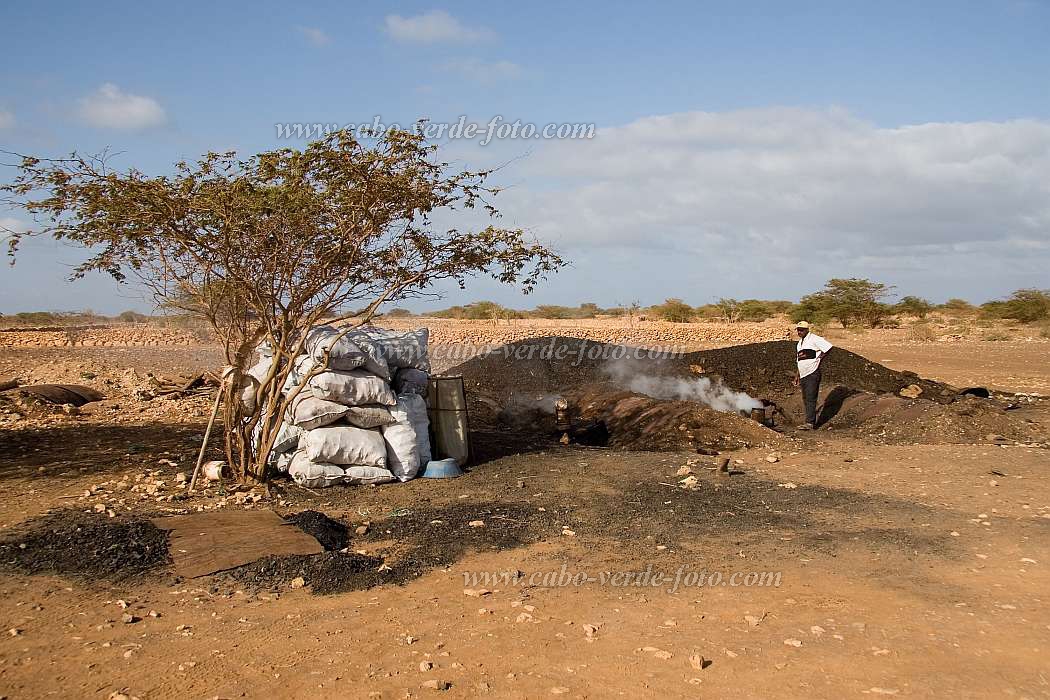 Maio : Cascabulho : carvo vegetal : People WorkCabo Verde Foto Gallery