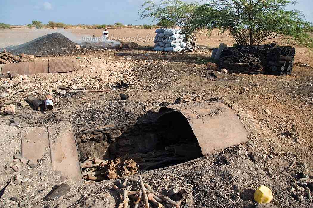 Maio : Cascabulho : carvo vegetal : People WorkCabo Verde Foto Gallery