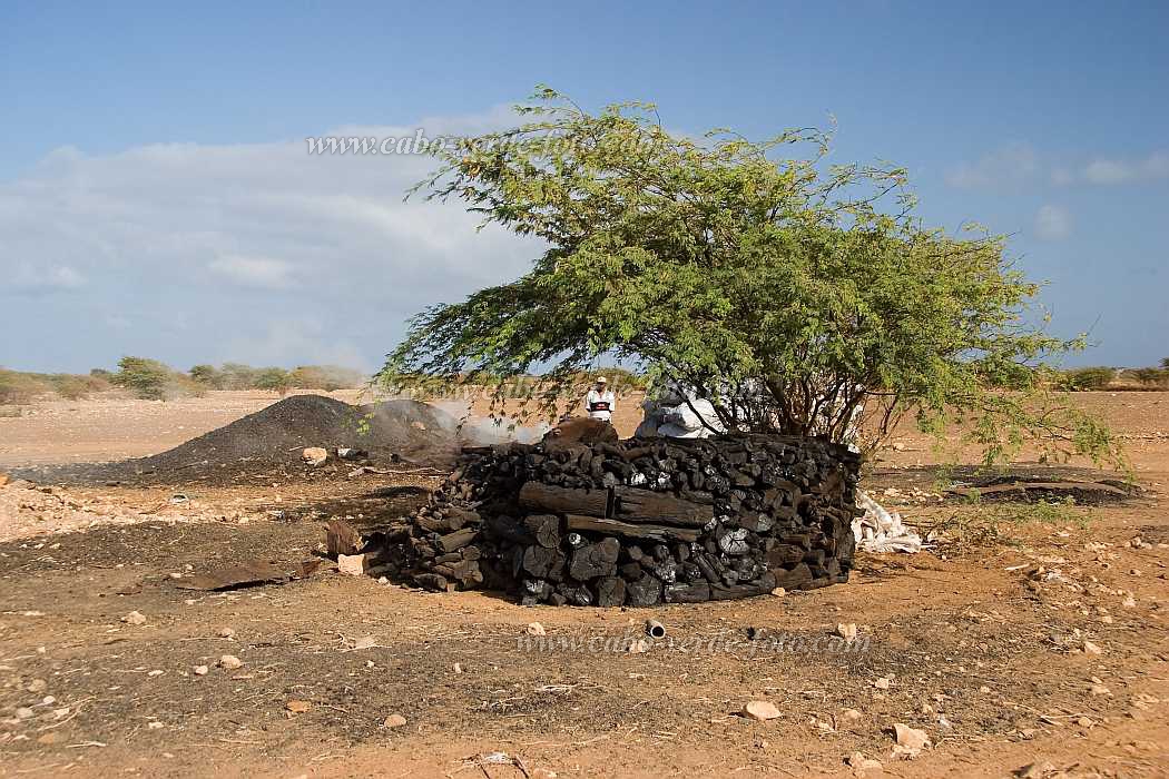 Maio : Cascabulho : charcoal : People WorkCabo Verde Foto Gallery