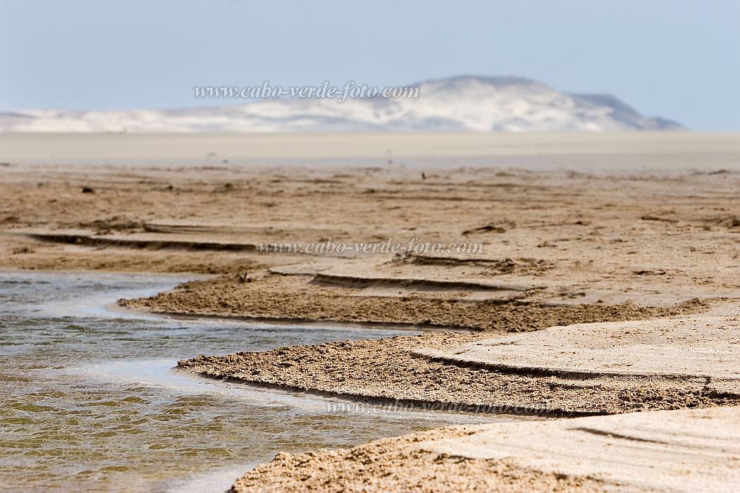 Boa Vista : Praia de Chave : beach : Landscape DesertCabo Verde Foto Gallery