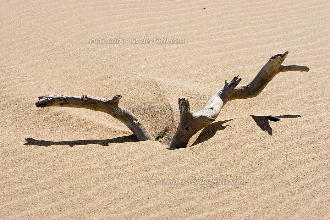 Insel: Boa Vista  Wanderweg:  Ort: Praia de Chave Motiv: n.a. Motivgruppe: Landscape Sea © Florian Drmer www.Cabo-Verde-Foto.com