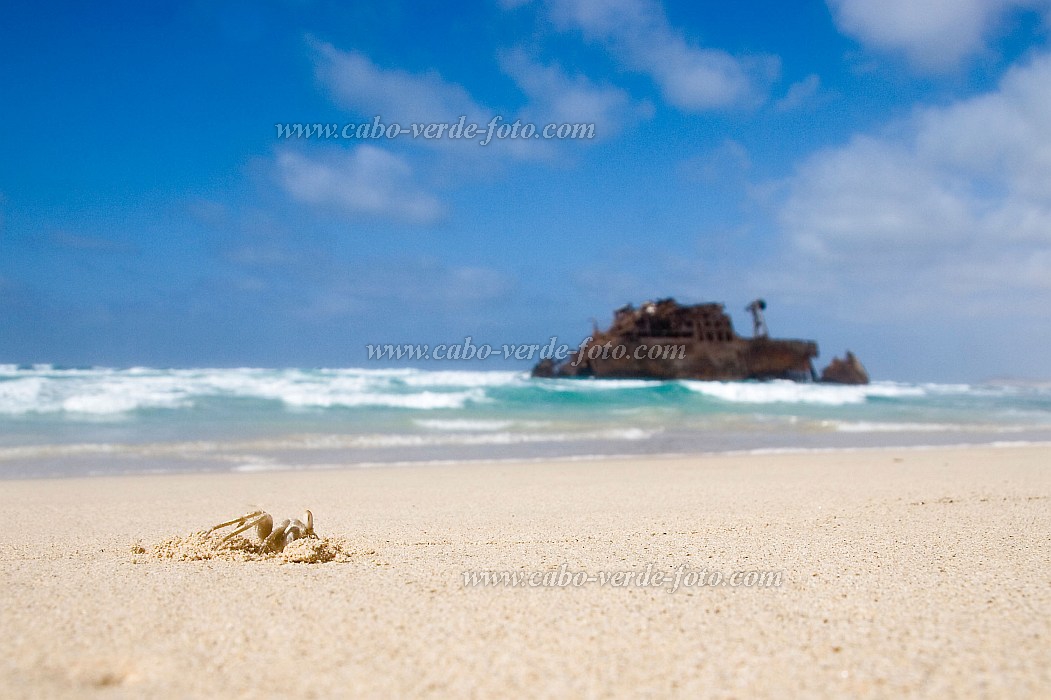 Boa Vista : Cabo Santa Maria : Santa Maria : Landscape SeaCabo Verde Foto Gallery