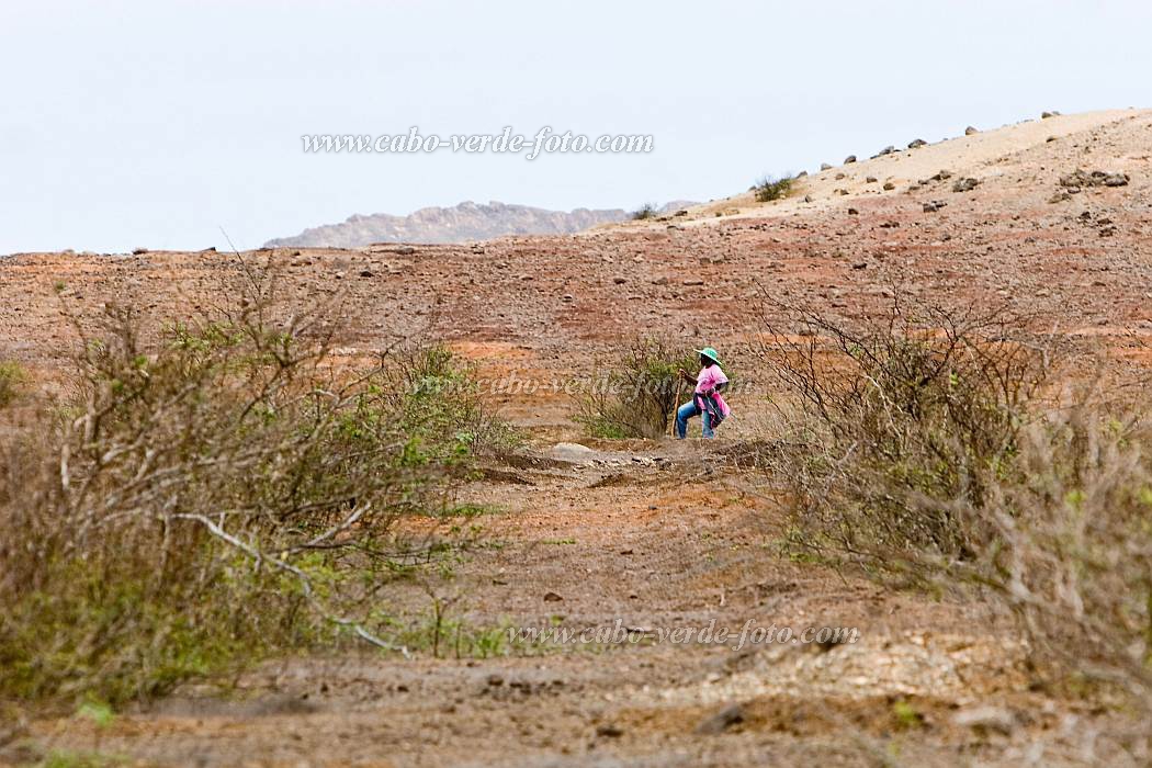 Boa Vista : Morro Negro : n.a. : Landscape AgricultureCabo Verde Foto Gallery