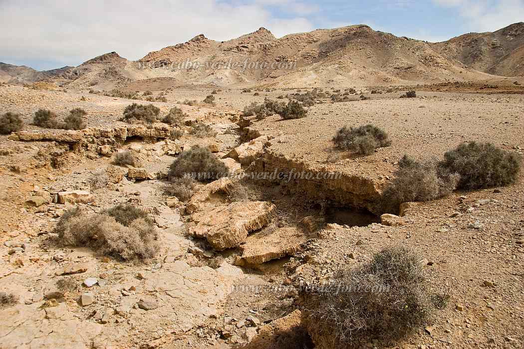 Boa Vista : Campo da Serra : landscape : Landscape DesertCabo Verde Foto Gallery