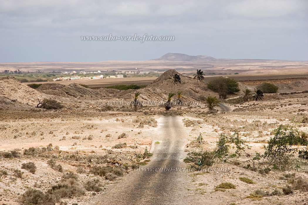 Boa Vista : João Galego : hiking track in the desert : Landscape DesertCabo Verde Foto Gallery