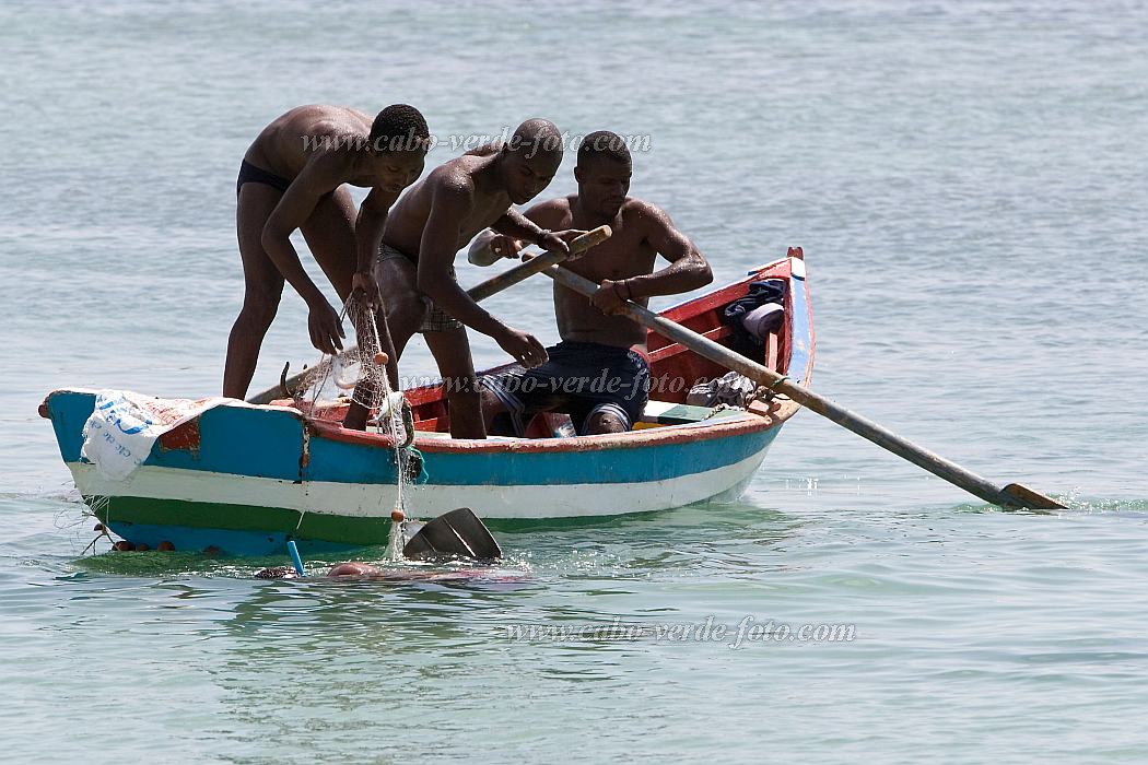 Boa Vista : Sal Rei : fisherman : People WorkCabo Verde Foto Gallery