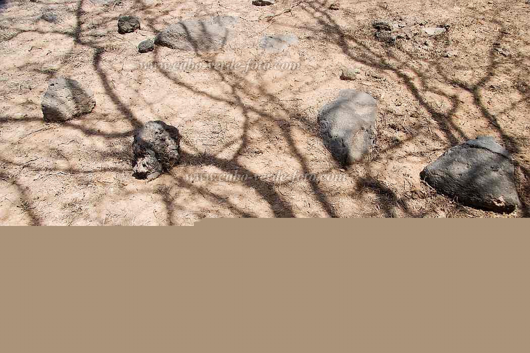 Santiago : Tarrafal : n.a. : Landscape AgricultureCabo Verde Foto Gallery