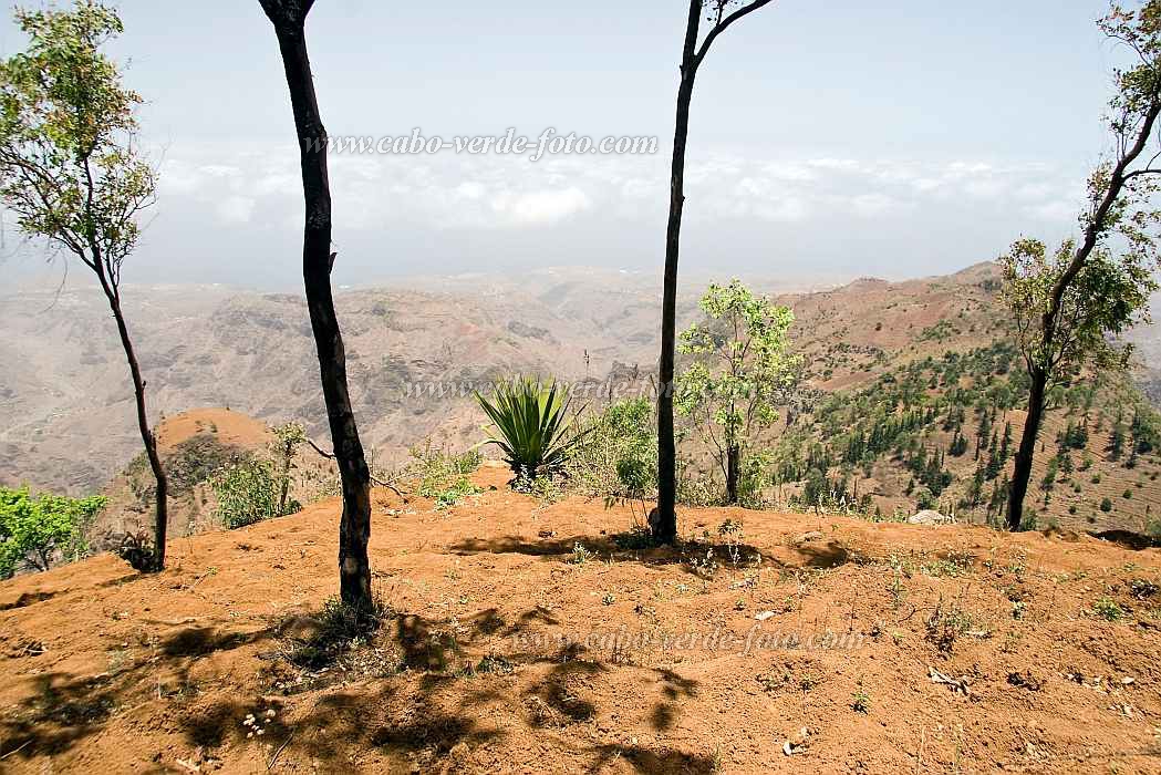 Santiago : Principal : landscape : Landscape AgricultureCabo Verde Foto Gallery