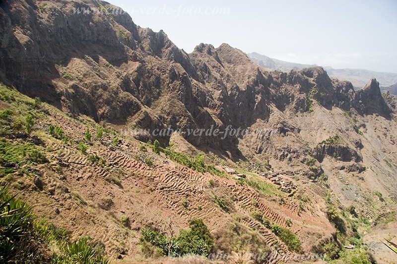 Santiago : Principal : landscape : Landscape AgricultureCabo Verde Foto Gallery