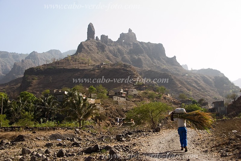 Santiago : Principal : village : Landscape MountainCabo Verde Foto Gallery