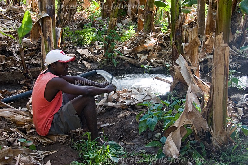 Santiago : Ra Seca : Irrigated agriculture : Technology AgricultureCabo Verde Foto Gallery