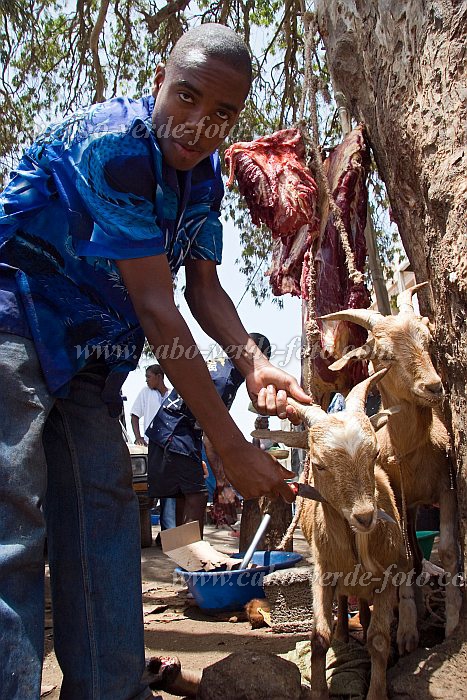 Santiago : Assomada : butcher : Technology AgricultureCabo Verde Foto Gallery