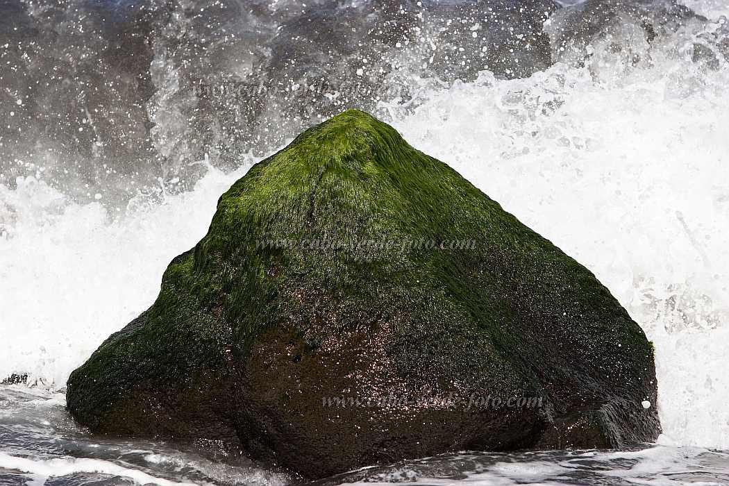 Insel: Fogo  Wanderweg:  Ort: So Filipe Motiv: n.a. Motivgruppe: Nature © Florian Drmer www.Cabo-Verde-Foto.com