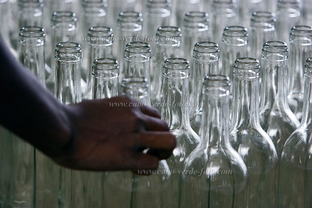 Fogo : Ch das Caldeiras : vinho : People WorkCabo Verde Foto Gallery