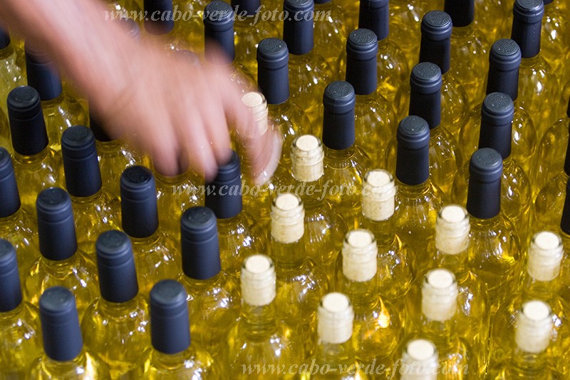 Fogo : Ch das Caldeiras : vinho : People WorkCabo Verde Foto Gallery