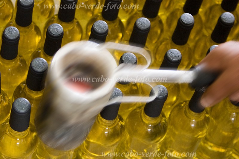 Fogo : Ch das Caldeiras : vinho : People WorkCabo Verde Foto Gallery