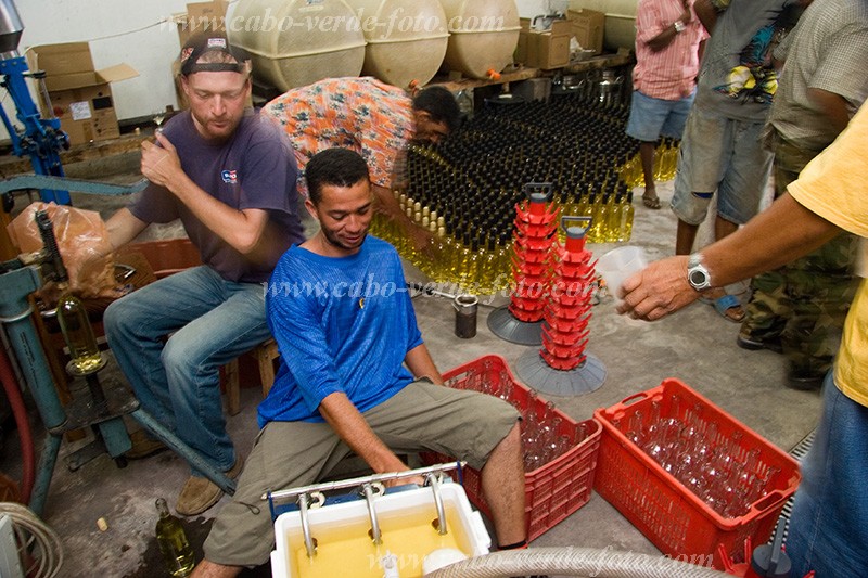 Fogo : Ch das Caldeiras : wine : People WorkCabo Verde Foto Gallery