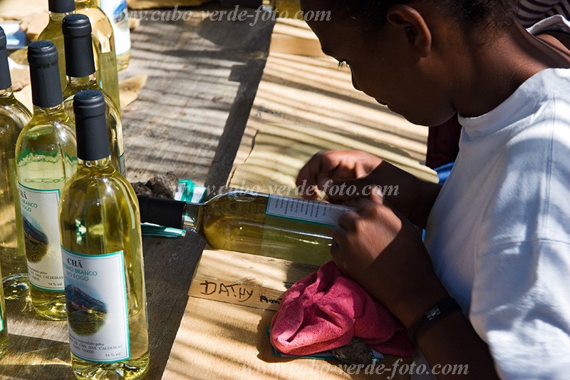 Fogo : Ch das Caldeiras : vinho : People WorkCabo Verde Foto Gallery