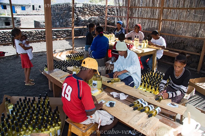 Fogo : Ch das Caldeiras : wine : People WorkCabo Verde Foto Gallery