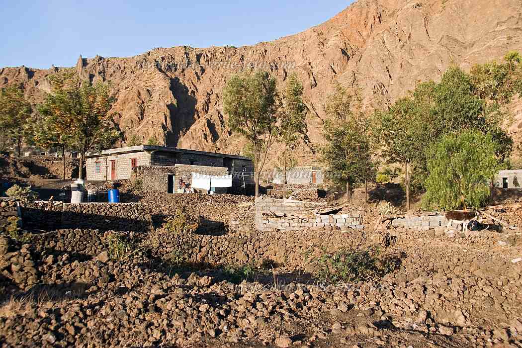 Fogo : Ch das Caldeiras : n.a. : Landscape TownCabo Verde Foto Gallery