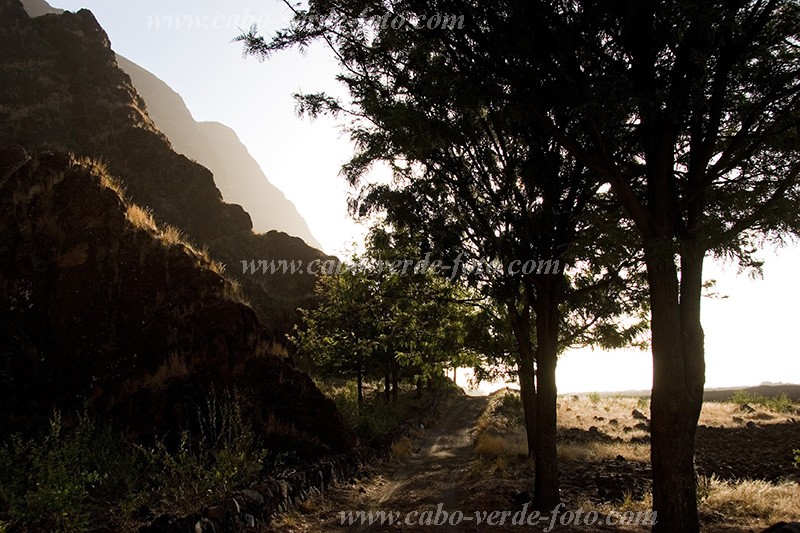 Insel: Fogo  Wanderweg:  Ort: Ch das Caldeiras Motiv: Morgen Motivgruppe: Landscape Mountain © Florian Drmer www.Cabo-Verde-Foto.com