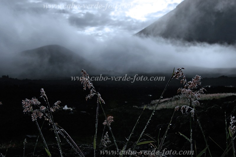 Insel: Fogo  Wanderweg:  Ort: Ch das Caldeiras Motiv: Morgen Motivgruppe: Landscape Mountain © Florian Drmer www.Cabo-Verde-Foto.com