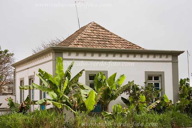 Insel: Brava  Wanderweg:  Ort: Villa Nova Sintra Motiv: Banane Motivgruppe: Landscape Town © Florian Drmer www.Cabo-Verde-Foto.com