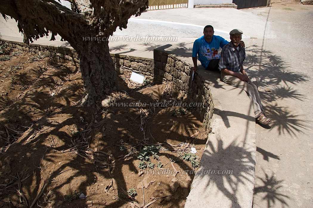 Brava : Vila Nova Sintra : dragon tree : People RecreationCabo Verde Foto Gallery