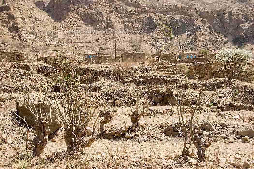 Insel: Brava  Wanderweg:  Ort: Faj d gua Motiv: Landschaft Motivgruppe: Landscape Agriculture © Florian Drmer www.Cabo-Verde-Foto.com