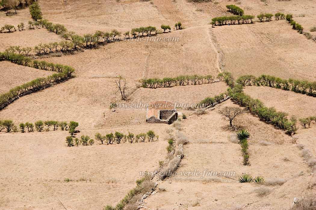 Brava : Fontainhas : field : Landscape AgricultureCabo Verde Foto Gallery