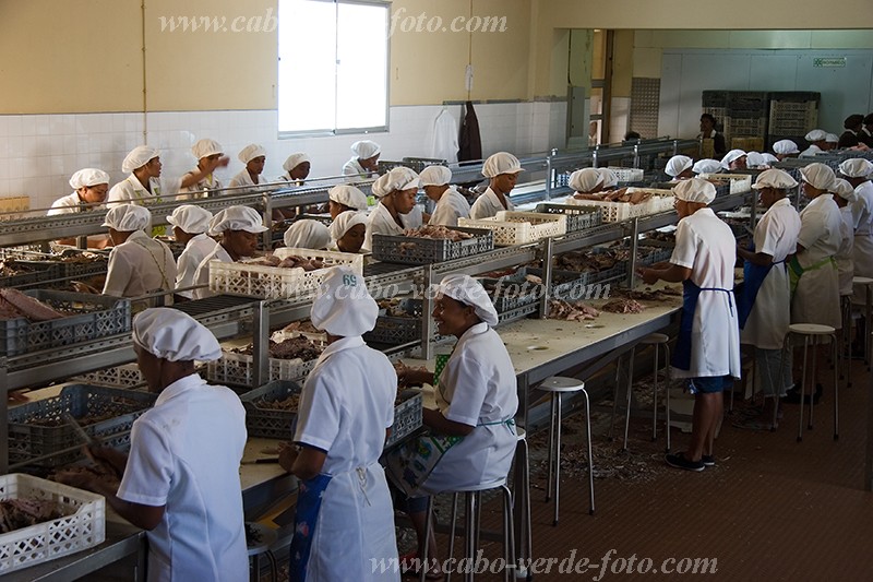 Insel: So Nicolau  Wanderweg:  Ort: Tarrafal Motiv: Fischfabrik Motivgruppe: People Work © Florian Drmer www.Cabo-Verde-Foto.com