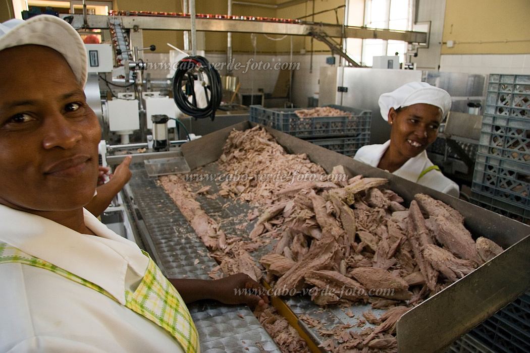 Insel: So Nicolau  Wanderweg:  Ort: Tarrafal Motiv: Fischfabrik Motivgruppe: People Work © Florian Drmer www.Cabo-Verde-Foto.com