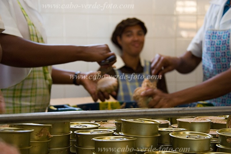 Insel: So Nicolau  Wanderweg:  Ort: Tarrafal Motiv: Fischfabrik Motivgruppe: People Work © Florian Drmer www.Cabo-Verde-Foto.com