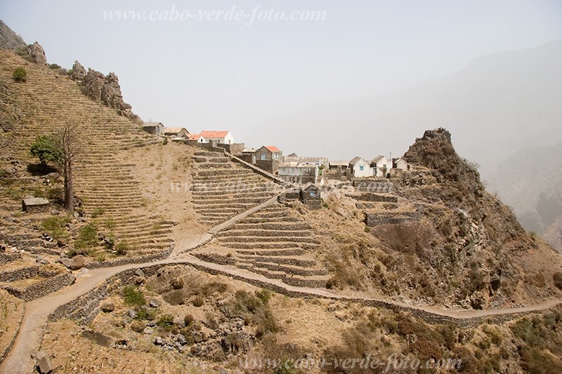 So Nicolau :  : Harmato bruma seca : Landscape MountainCabo Verde Foto Gallery